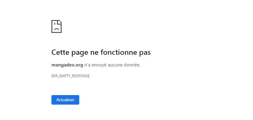 Pourquoi Les Sites De Streaming Ne Marche Plus ridzov : nouveau site de streaming vf films et séries - Le Vegetarien